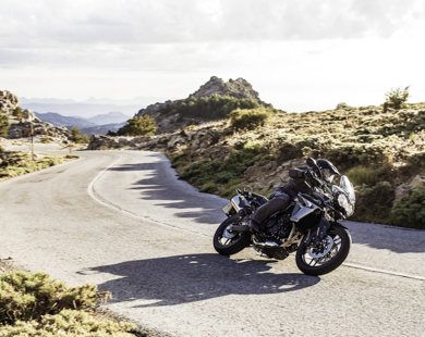 Tiger 800 XR