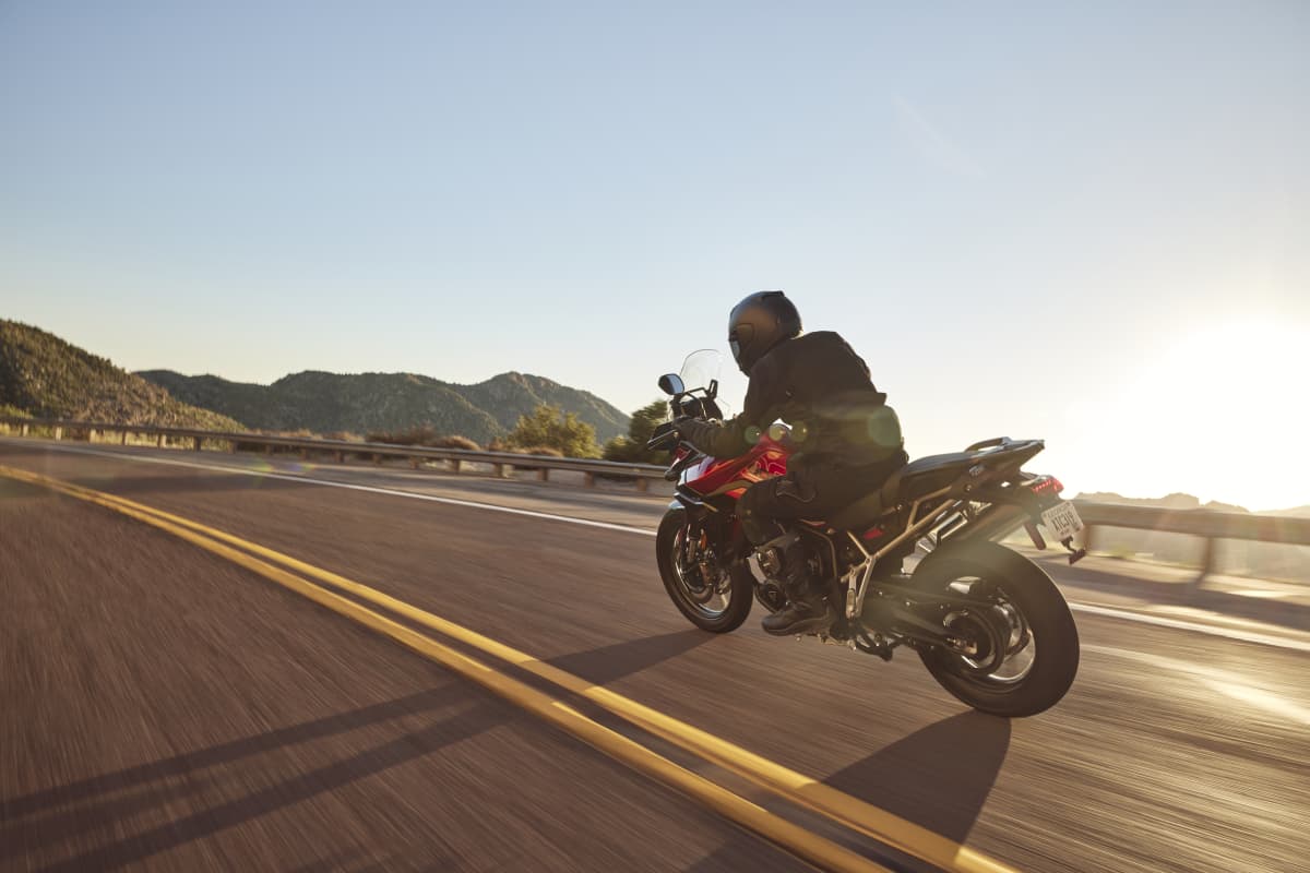 Tiger 900 GT Pro