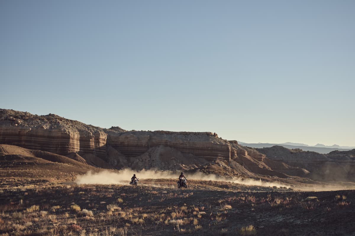 Tiger 900 Rally Pro