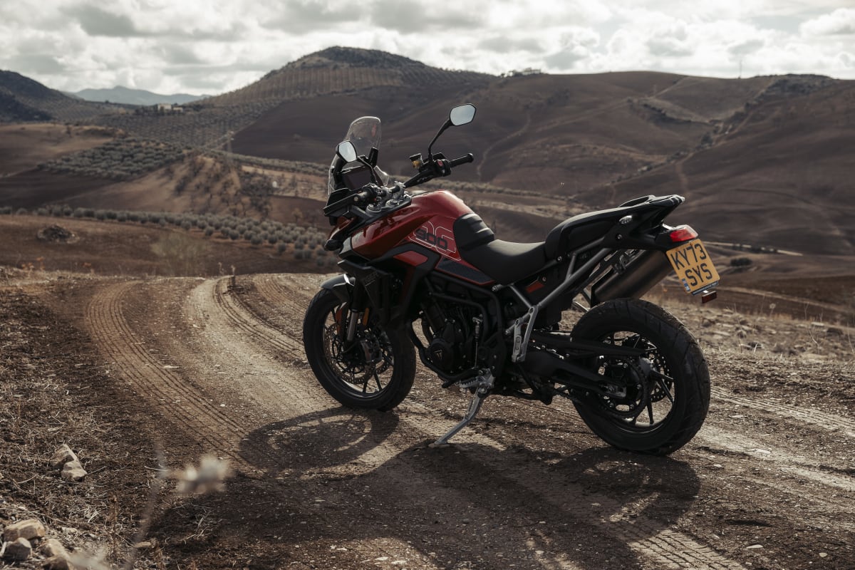 Tiger 900 Rally Pro