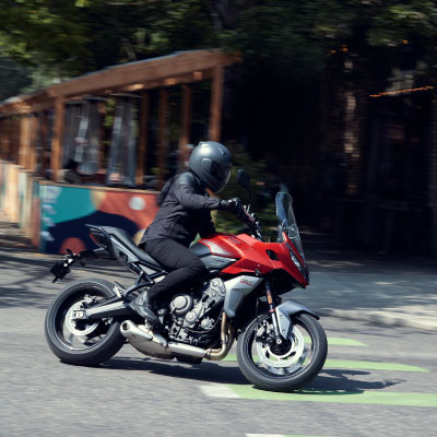 Tiger Sport 660