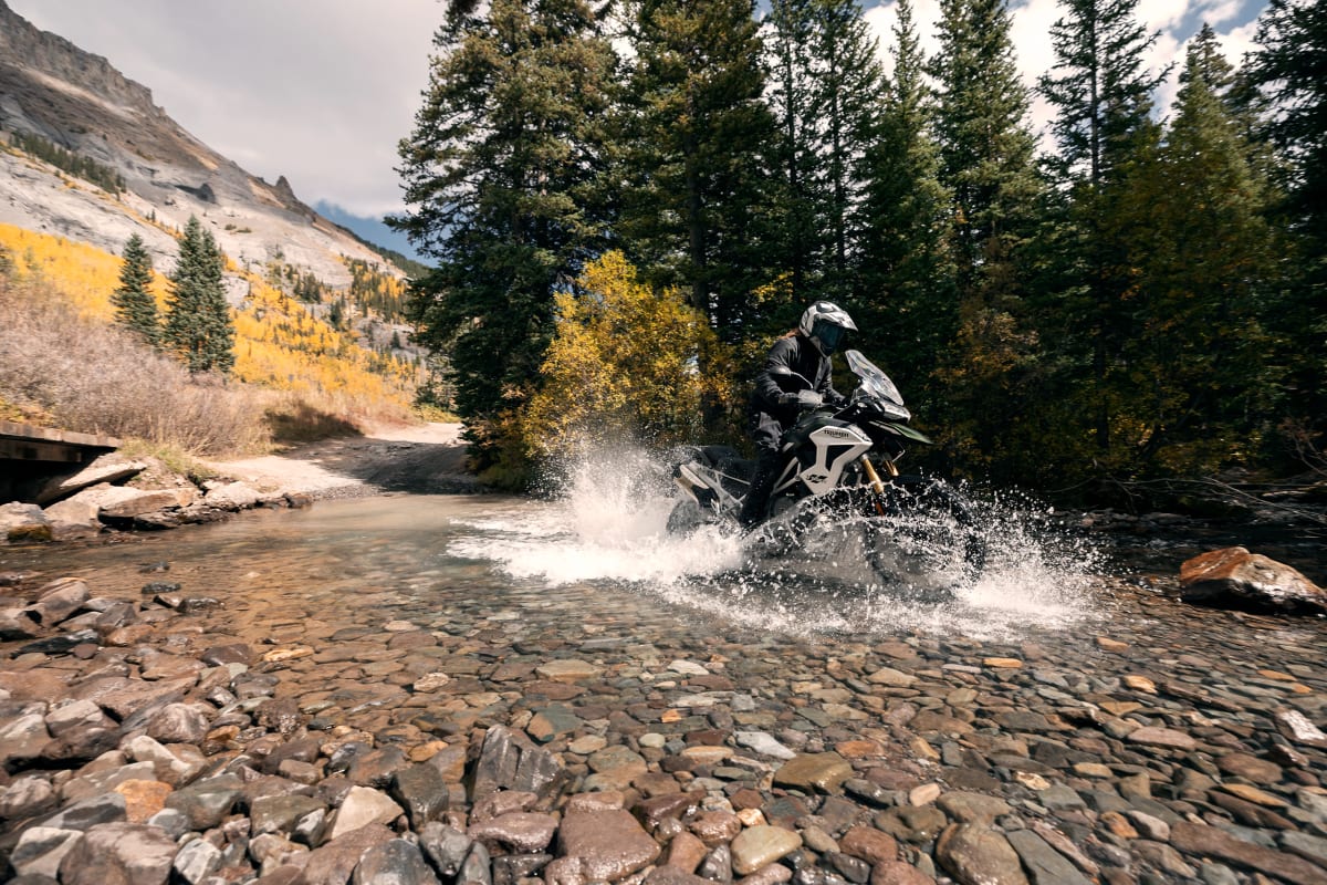 Tiger 1200 Rally Pro