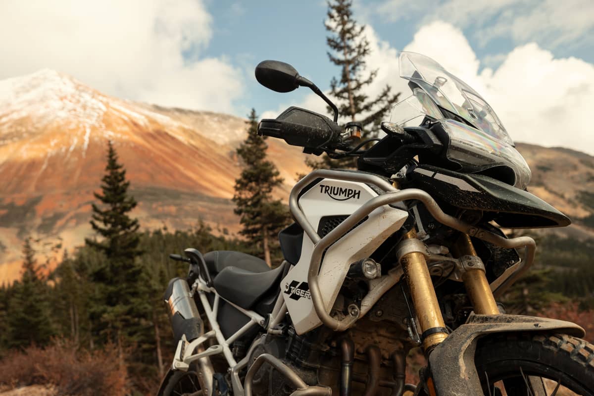 Tiger 1200 Rally Pro