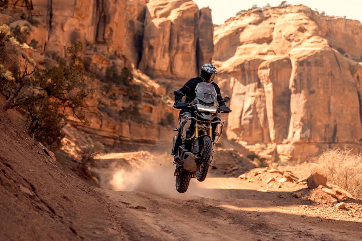 Tiger 1200 Rally Pro