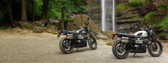 TRIUMPH NEW STREET SCRAMBLER 2019 